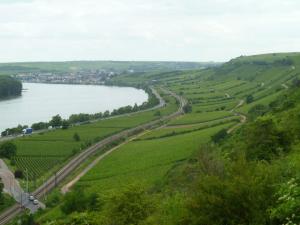 Roter Hang viewed from Nackenheim southwards to Nierstein