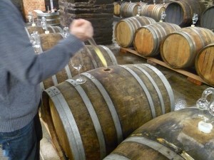 Barrel tasting 2013s at Immich-Batterieberg