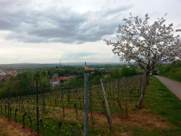 Heading back town into the village, the iconic church towering above it.